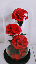Load image into Gallery viewer, Amour Eternel - Everlasting Preserved Real Red Roses in Glass Dome Box