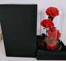 Load image into Gallery viewer, Amour Eternel - Everlasting Preserved Real Red Roses in Glass Dome Box