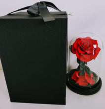 Load image into Gallery viewer, Be My Valentine - Everlasting Preserved Real Red Rose in Glass Dome Box