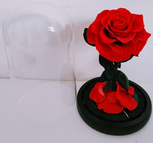 Load image into Gallery viewer, Be My Valentine - Everlasting Preserved Real Red Rose in Glass Dome Box