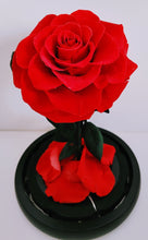 Load image into Gallery viewer, Be My Valentine - Everlasting Preserved Real Red Rose in Glass Dome Box