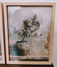 Load image into Gallery viewer, Stunning Set of 3 Wall Art Prints Olive Scandi Style in Oak Wood Glass Frames A3 Size