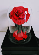 Load image into Gallery viewer, Be My Valentine - Everlasting Preserved Real Red Rose in Glass Dome Box