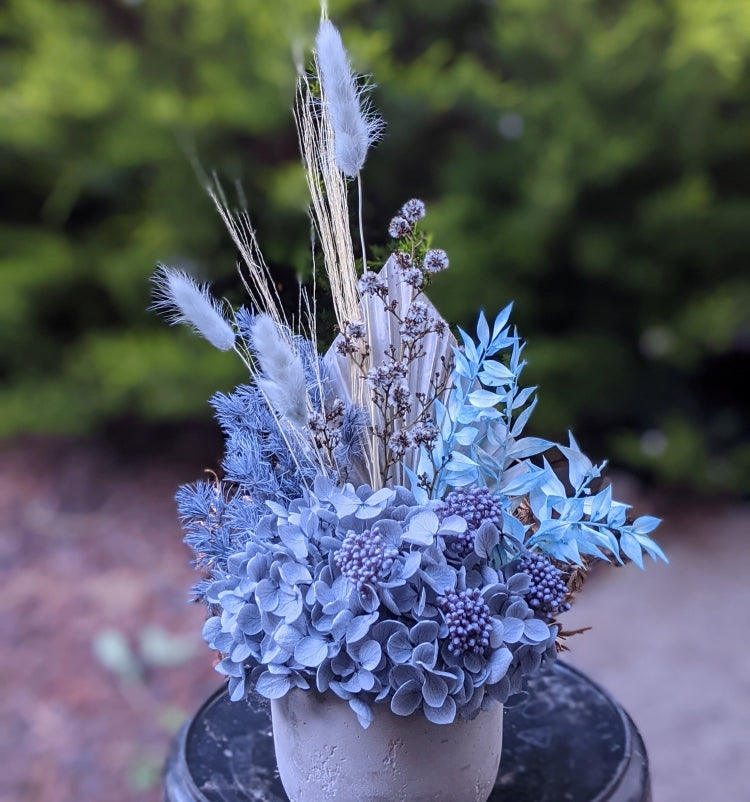 Beau - Small Everlasting Blue Dried Arrangement – Ollie's Blooms & Plants