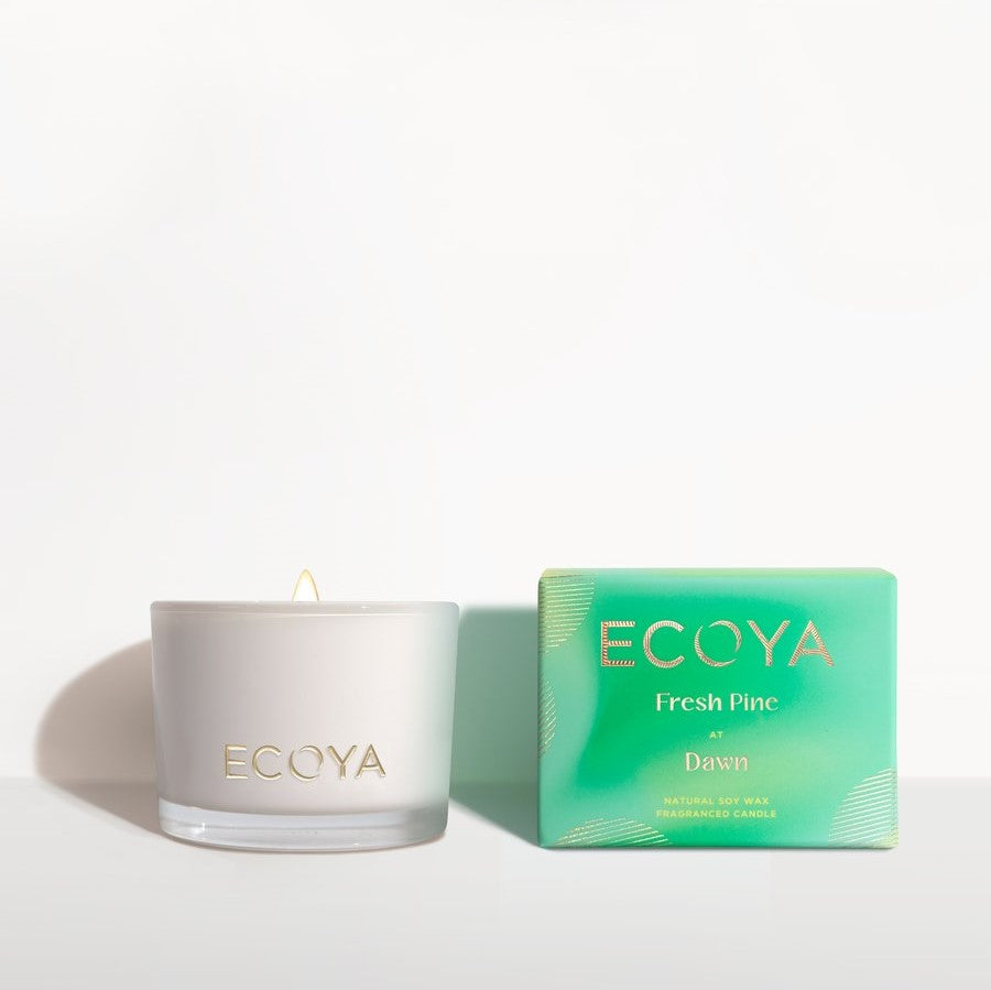 Fresh Pine ECOYA Soy Wax Candle Limited Edition Ollie's Blooms & Plants