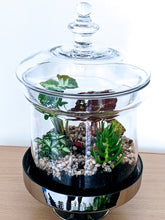 Load image into Gallery viewer, Forest Nature - "Closed" Terrarium