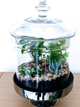 Load image into Gallery viewer, Forest Nature - "Closed" Terrarium