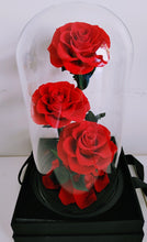 Load image into Gallery viewer, Amour Eternel - Everlasting Preserved Real Red Roses in Glass Dome Box
