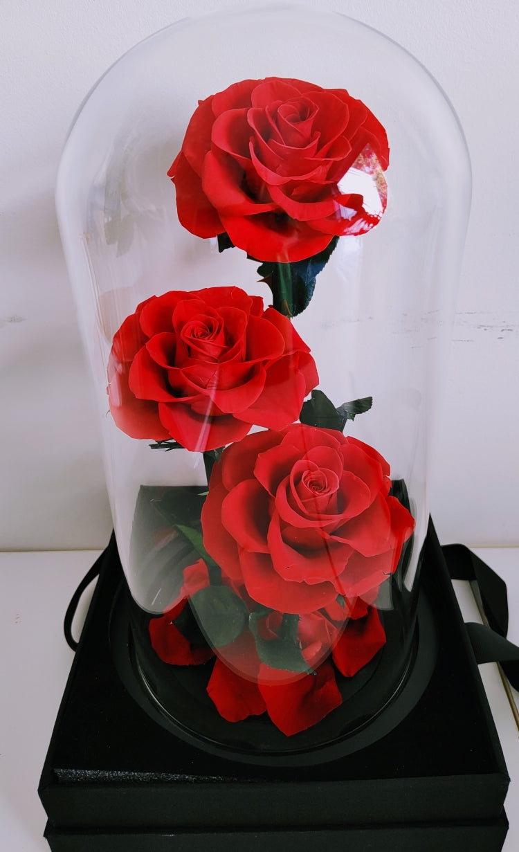 Amour Eternel - Everlasting Preserved Real Red Roses in Glass Dome Box