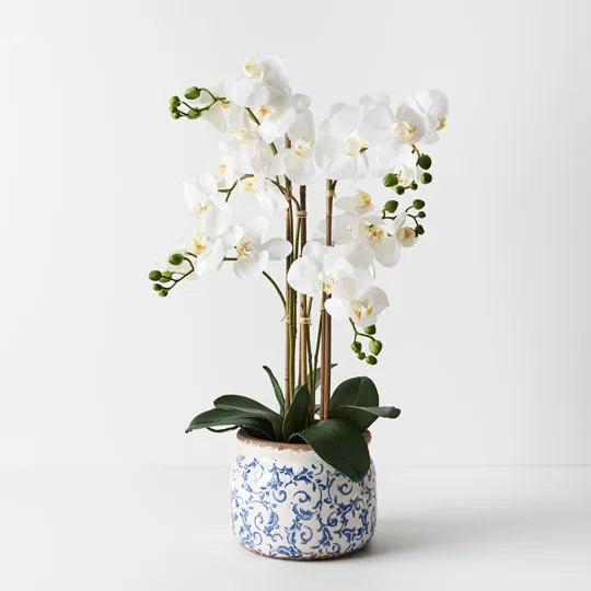 Limited - Stunning Elegant FAUX Real touch 6 stems Phalaenopsis Orchids in Blue Provincial Vase