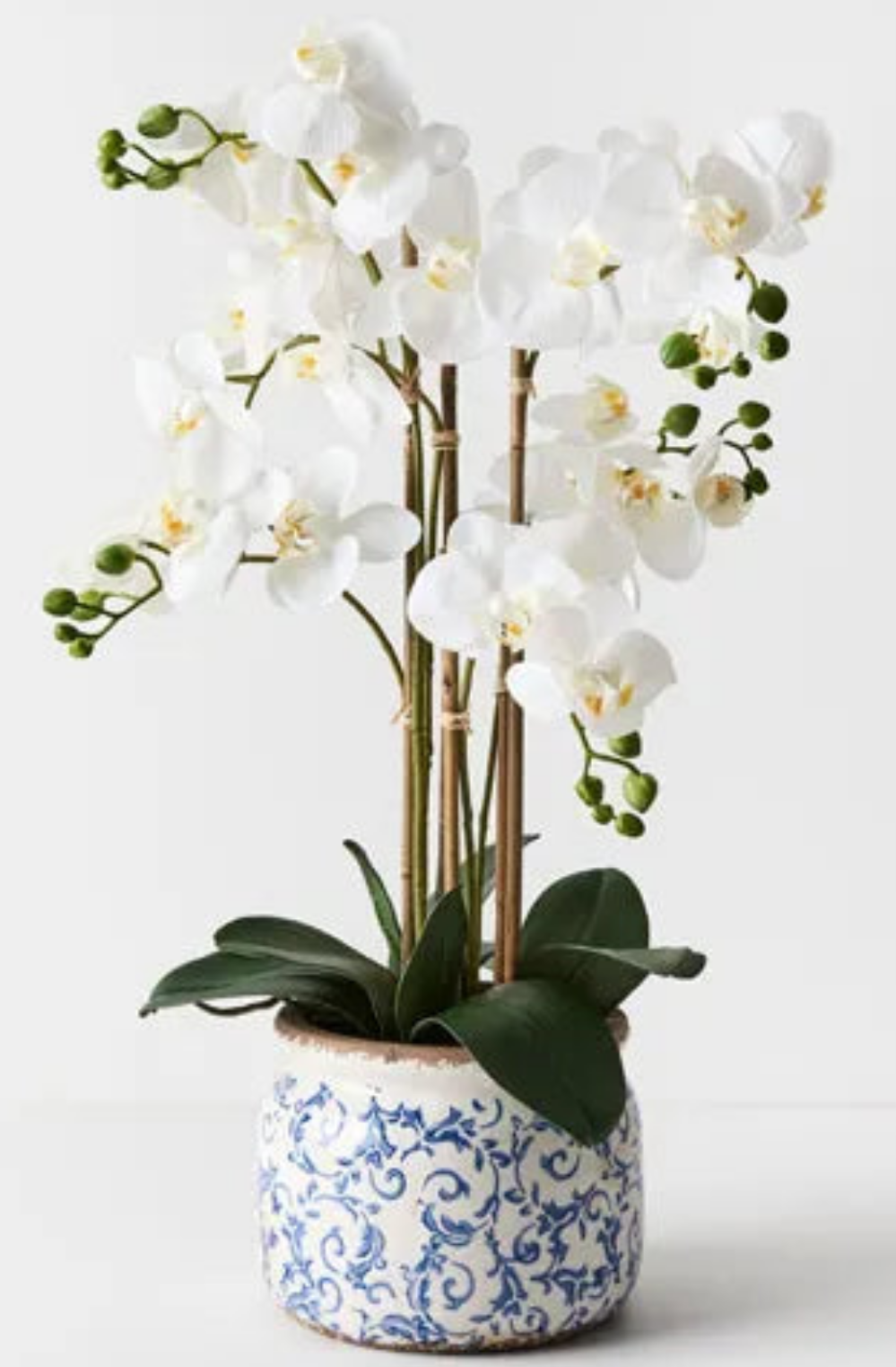 Limited - Stunning Elegant FAUX Real touch 6 stems Phalaenopsis Orchids in Blue Provincial Vase