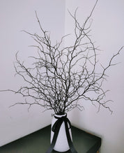 Load image into Gallery viewer, Corokia - Modern Rustic Dried Corokia branches in White or Black Vase

