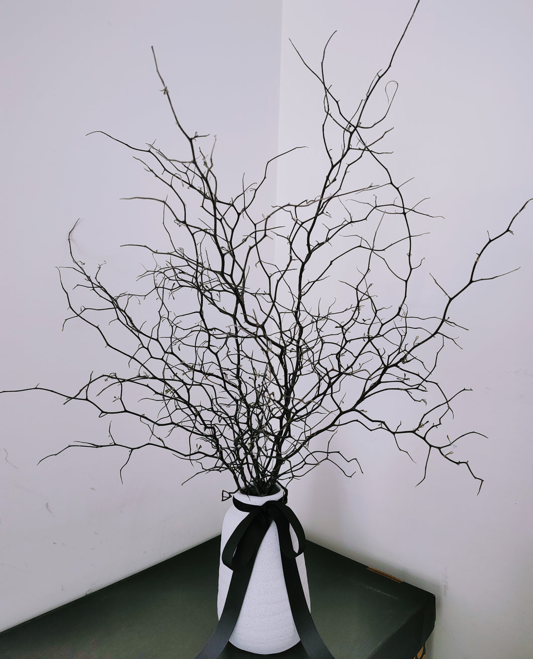 Corokia - Modern Rustic Dried Corokia branches in White or Black Vase