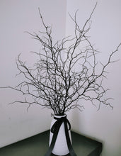 Load image into Gallery viewer, Corokia - Modern Rustic Dried Corokia branches in White or Black Vase
