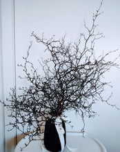 Load image into Gallery viewer, Corokia - Modern Rustic Dried Corokia branches in White or Black Vase

