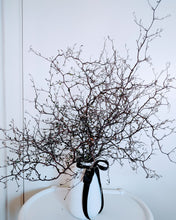 Load image into Gallery viewer, Corokia - Modern Rustic Dried Corokia branches in White or Black Vase
