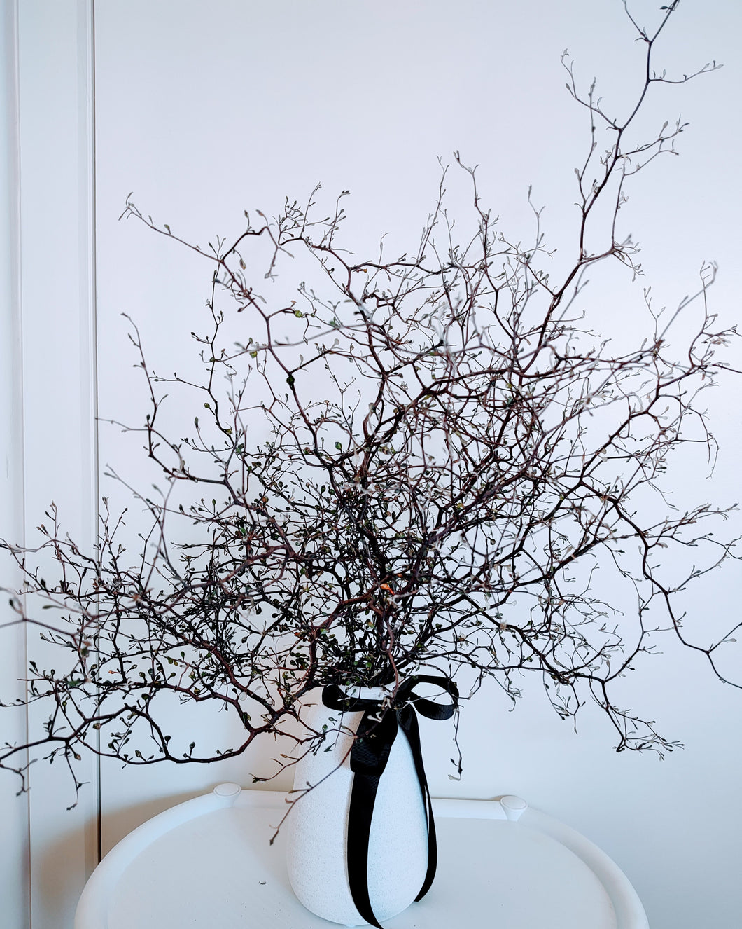 Corokia - Modern Rustic Dried Corokia branches in White or Black Vase