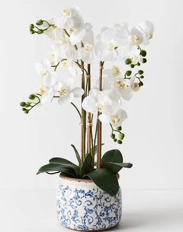 Limited - Stunning Elegant FAUX Real touch 6 stems Phalaenopsis Orchids in Blue Provincial Vase
