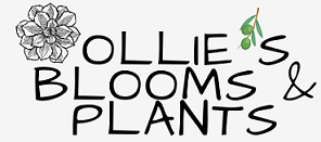 Ollie&#39;s Blooms &amp; Plants