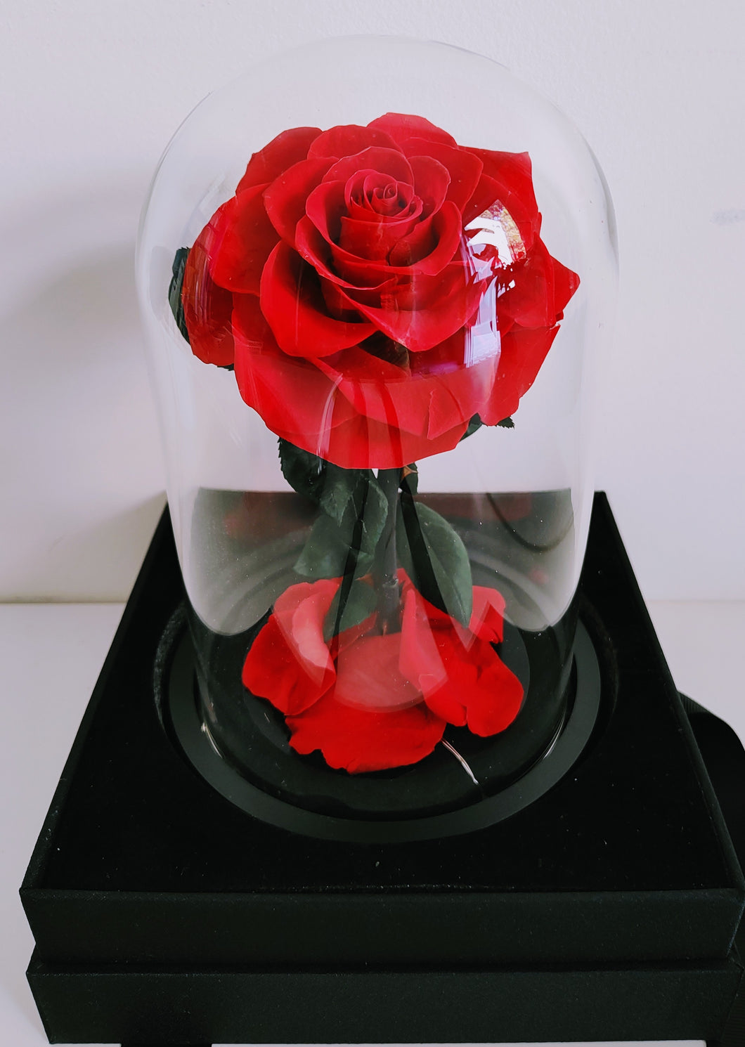 Be My Valentine - Everlasting Preserved Real Red Rose in Glass Dome Box