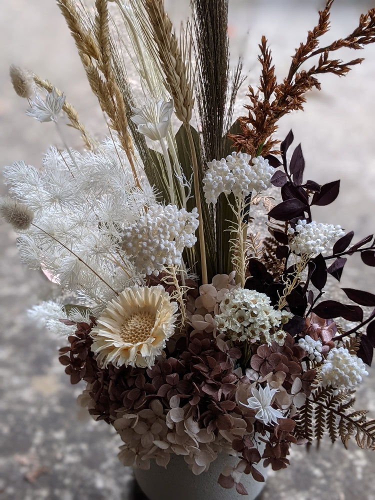 Lindsay - Everlasting Nude White Dried Arrangement