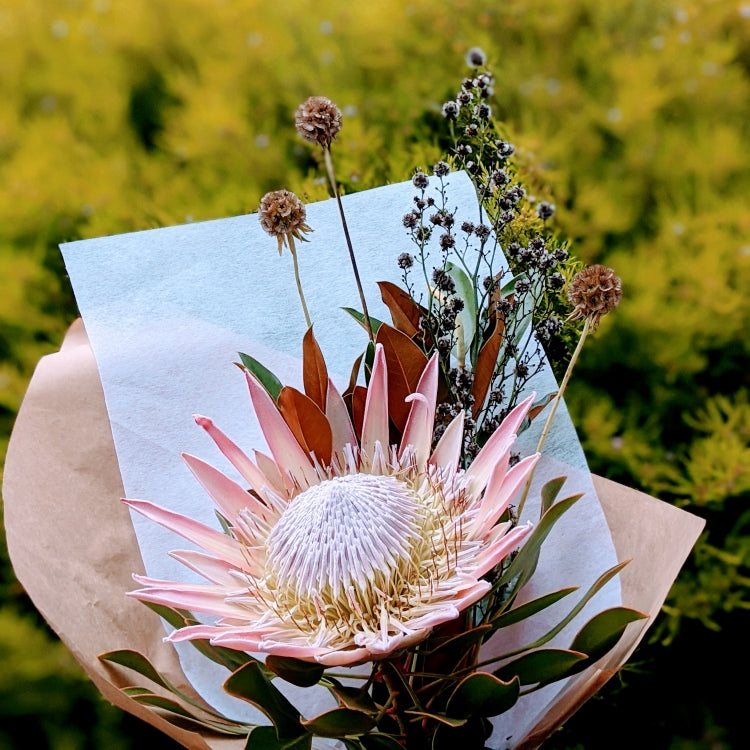 King Protea Bouquet - with other Native Filler