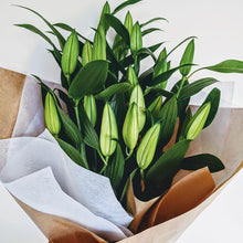 Load image into Gallery viewer, Holly - Classic White Fragrant Oriental Lily - Ollie&#39;s Blooms &amp; Plants
