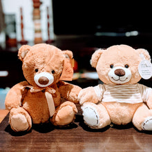 Load image into Gallery viewer, Assorted Teddy Bear (Valentine, Pink, Blue, Brown, Beige)
