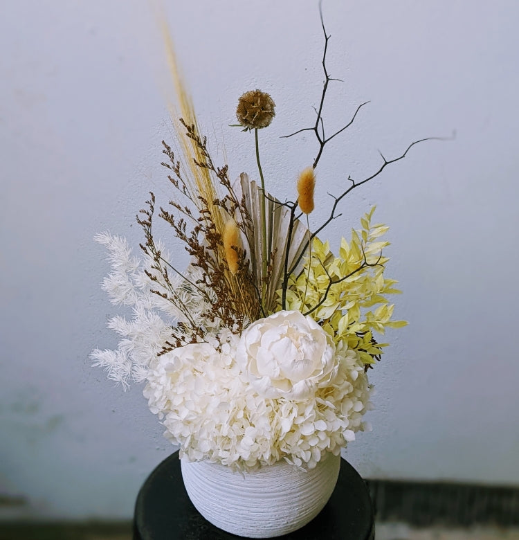Peony - Everlasting Dried Flowers arrangement in white & natural colour