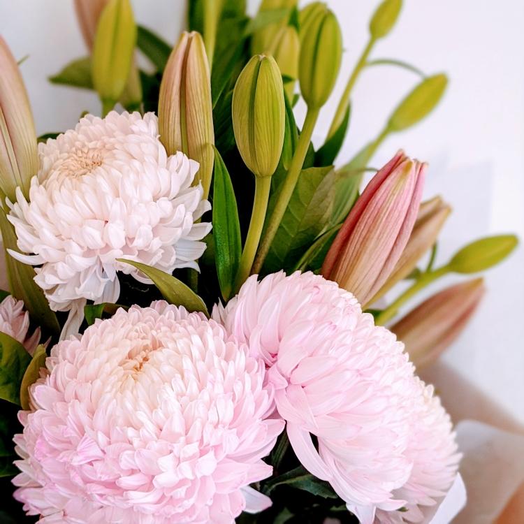 Audrey - Mum Disbud and Lily Bouquet – Ollie's Blooms & Plants