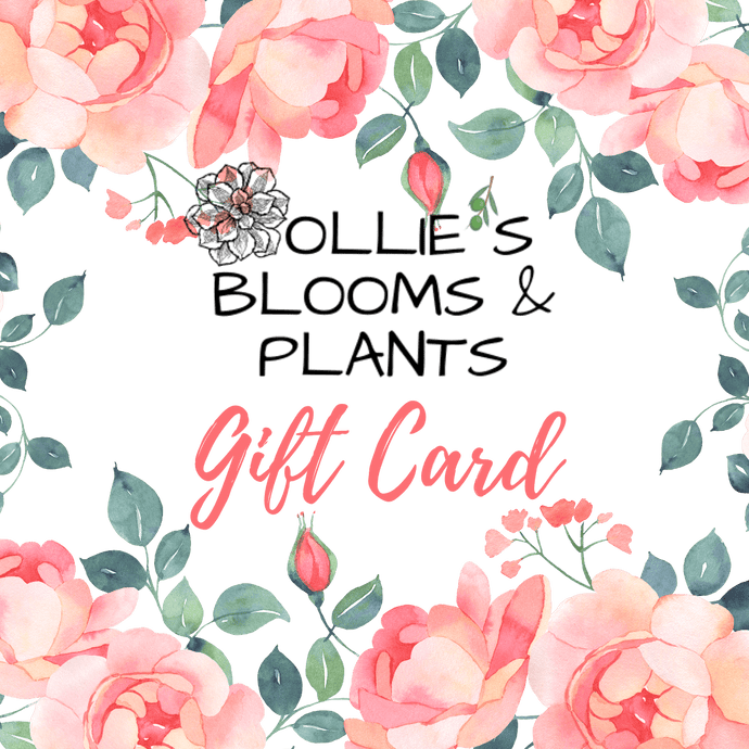 CARE - Gift Card - Ollie's Blooms & Plants