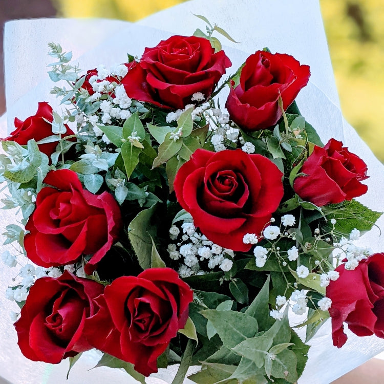 Red Valentine - Classic Red Roses with Baby Breath Posy