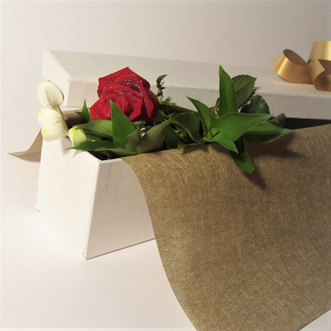 Amora - Single Red Rose in Long Box - Ollie's Blooms & Plants
